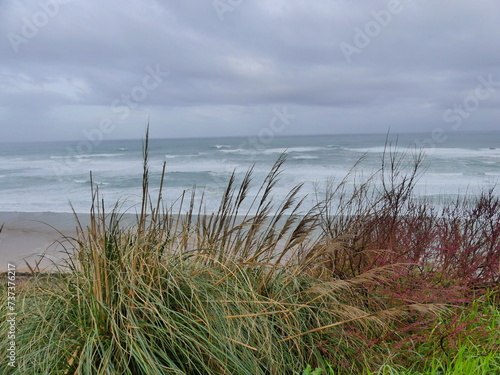 En bord de mer    Biarritz