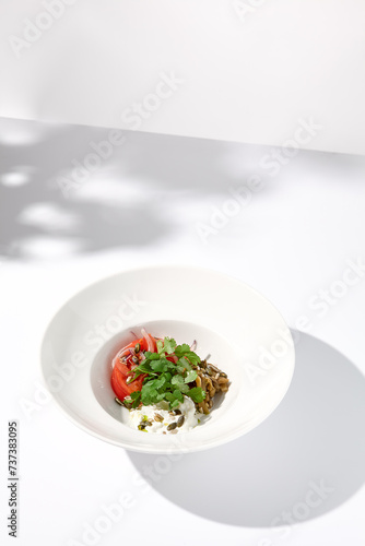 Artistic shadow over a salad with tomatoes, stracciatella cheese, and eggplants garnished with cilantro