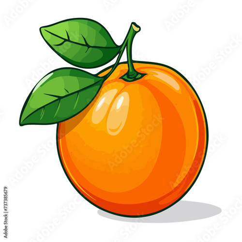 Graphic illustration of a detached orange fruit on a white background.