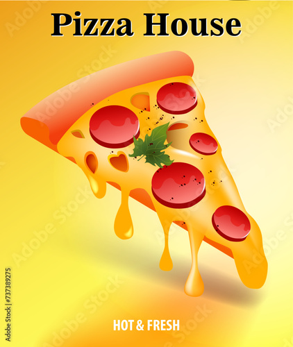 Banners, emblem for fast food restauran logo with pizza slices and inscriptions - Pizza House. Vector Illustration