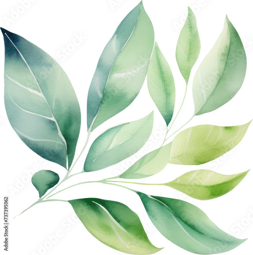 Set of watercolor green leaves elements. Collection botanical decoration suitable for Wedding Invitation, Greeting card.