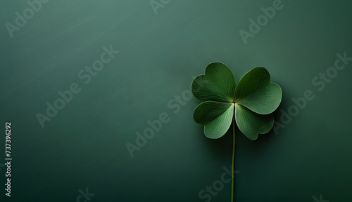 Four leaf clover on a dark green background in the style of moody color schemes with copy space. Saint Patrick Day concept