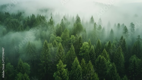 Fog covered trees in wild forest. AI generated.