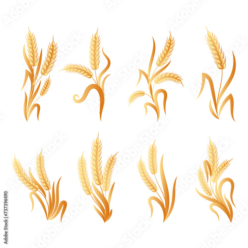 Set of bouquets of spikelets of wheat  rye  barley  golden design. Decor elements  icons  vector