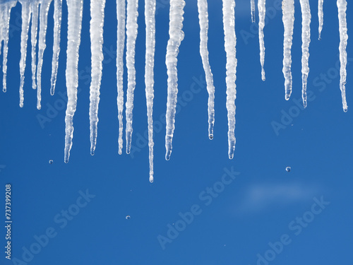 Many long crystal icicles with fall down drops hangs down close-up against clear cloudless blue sky in spring day