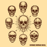 Human Skull vector Set of skull and hand drawn vector