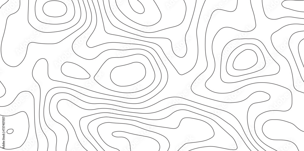 Topographic map background geographic line map . geography concept vector illustration topo contour grid abstract backdrop background .luxury abstract black line art design . Topographic map background geographic line map . geography concept vector illustration topo contour grid abstract backdrop background .luxury abstract black line art design .