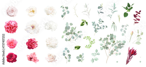 Trendy magenta and barbie pink color vector design set. White peony, hot pink rose, ranunculus, calla, hydrangea