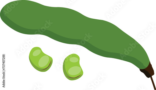 Illustration of beanstalk, illustration of vegetables, vector illustrations