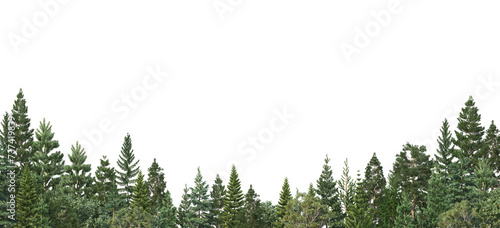3d render foreground plants and trees with white background and transparent background. generative AI © Zimal
