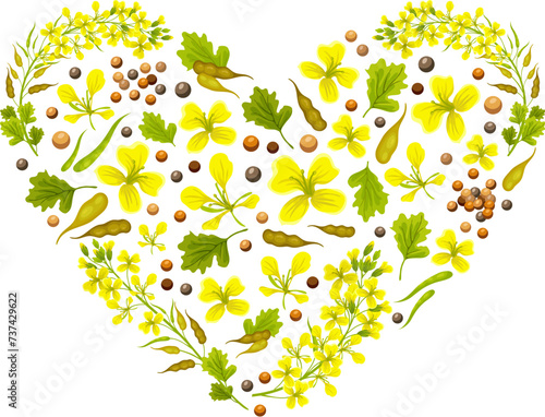 Hearts of flower rapeseed, flax, mustard  for packaging design and advertising. Isolated vector illustration  on white background.