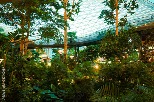 garden with trees at Doha airport 
