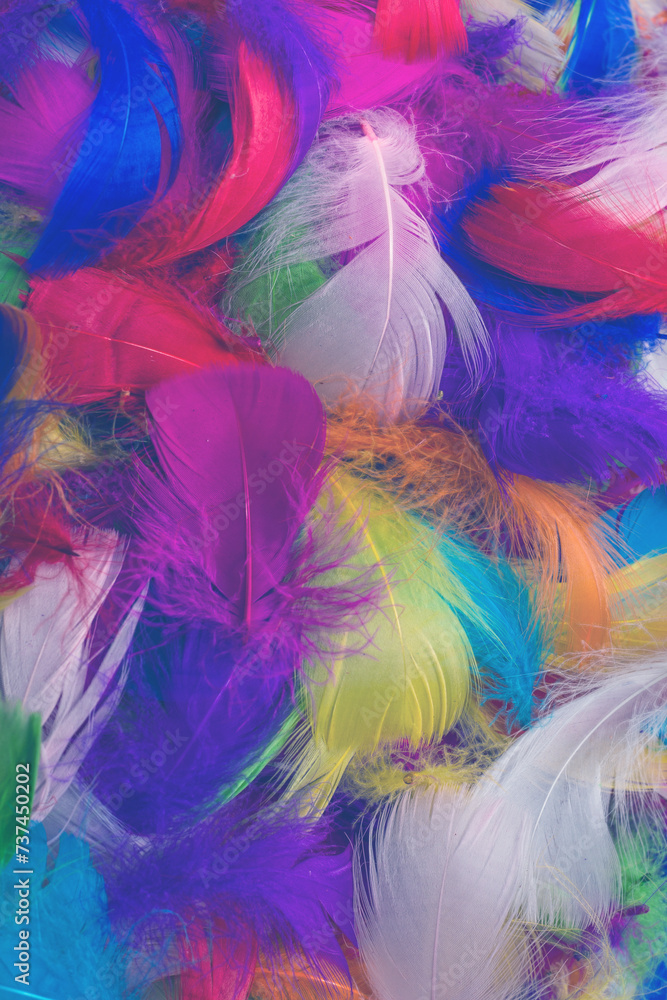 Colorful feather background. Colorful feather background.