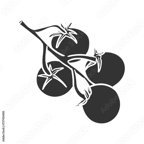 Tomato Branch Icon Silhouette Illustration. Agriculture Vector Graphic Pictogram Symbol Clip Art. Doodle Sketch Black Sign.