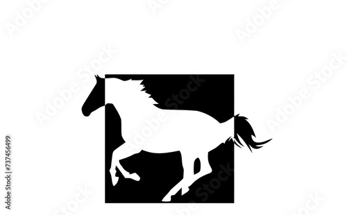 horse on a white