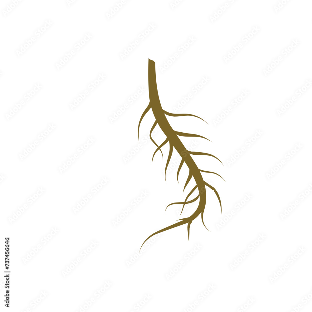 Obraz premium Single Root 