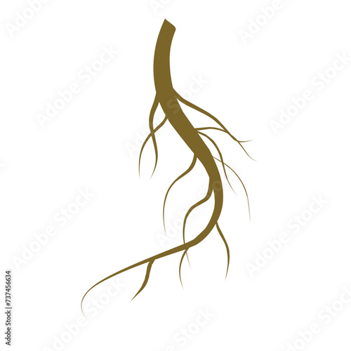 Single Root 