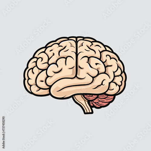 Human brain illustration clipart