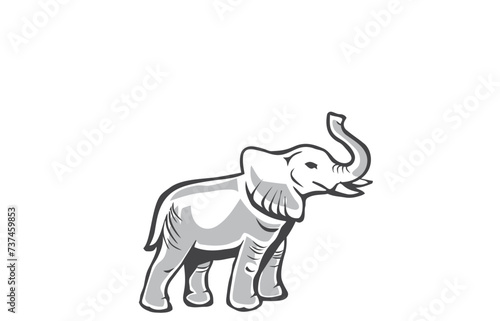 elephant isolated on white background