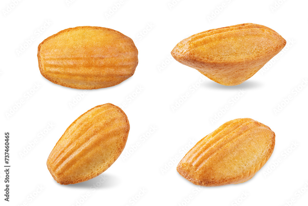 Madeleine cakes on a white isolated background Madeleine cakes on a white isolated background