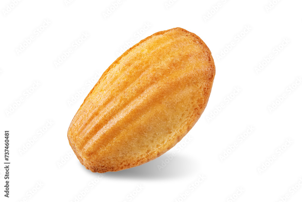Madeleine cakes on a white isolated background Madeleine cakes on a white isolated background