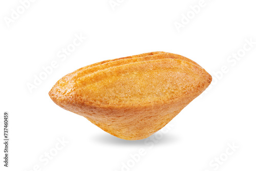 Madeleine cakes on a white isolated background