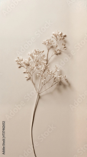 Vertical minimalist boho plant with white flowers growing against a beige wall.