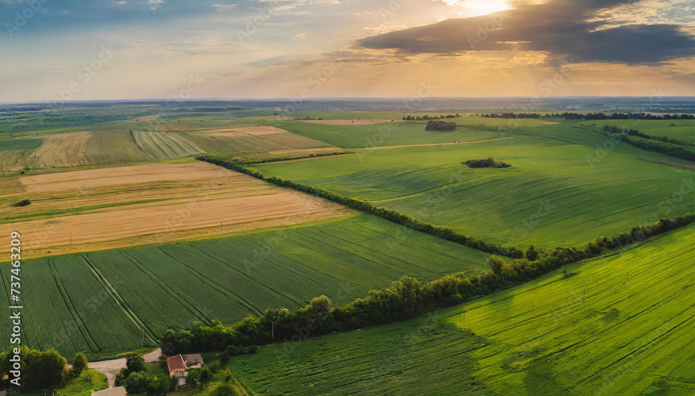 Naklejka premium Aerial view of lush green farmland at dusk, evoking tranquility and agricultural abundance