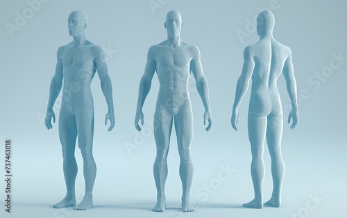 3d rendered illustration of a person