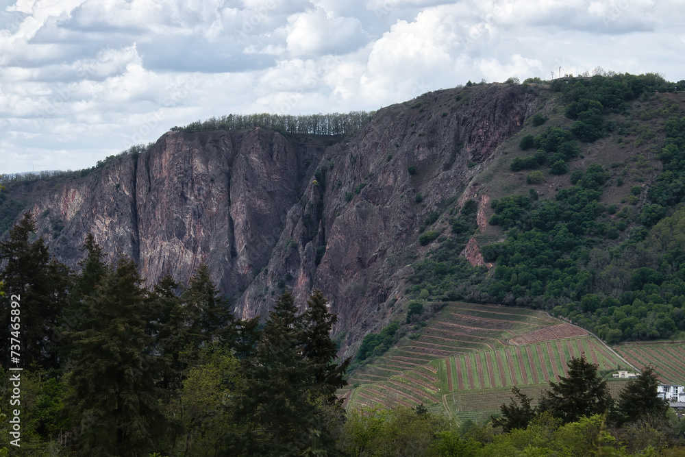 Rotenfels cliff above  a vineyard on a hill on a cloudy spring day in Rhineland Palatinate, Germany.