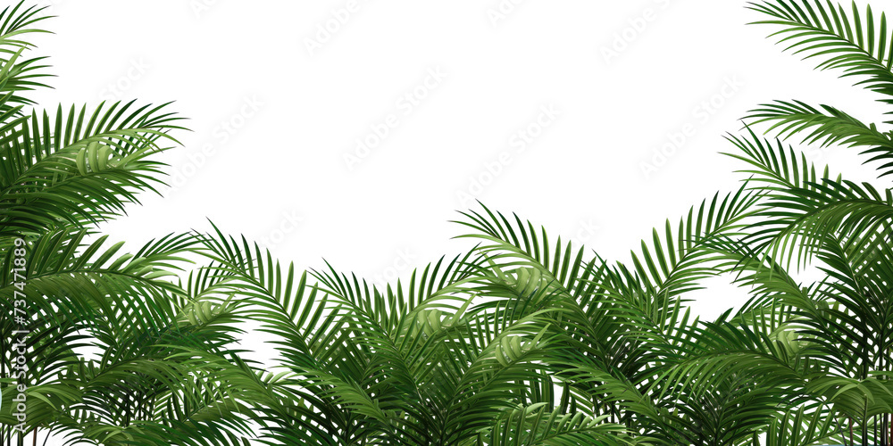 Tropical frame with exotic jungle palm plants, palm leaves, and empty space for text, copy space transparent background. PNG, cutout, or clipping path.	
