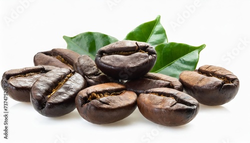 black arabica robusta coffee bean isolated on white background