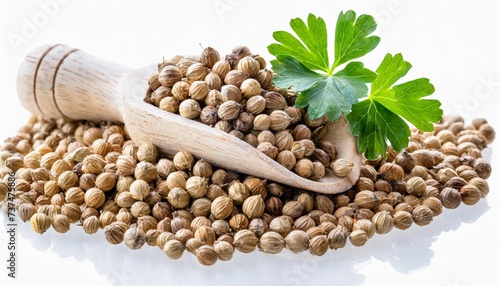 coriander seeds isolated on transparent png photo