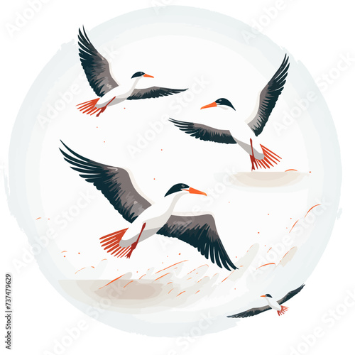Albatross | Minimalist and Simple set of Flat White background - Vector illustration