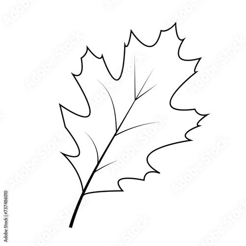 black white maple leaf	