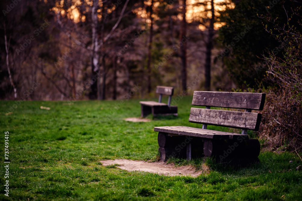 Wooden Benches on a Tranquil Park Path at Sunset Wooden Benches on a Tranquil Park Path at Sunset
