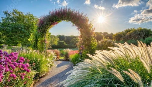 large country garden with flowers and ornamental grasses and an arbor arch backlit by morning sun with the fluffy heads of fountain grass pennisetum alopecuroides in the foreground photo