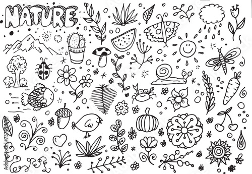 Nature doodles collection, hand drawn elements on white background