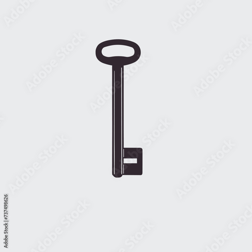 Key icon vector illustration minimalist design