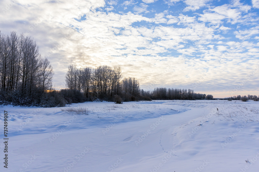 Winter landscape with snowy river bank and bare trees