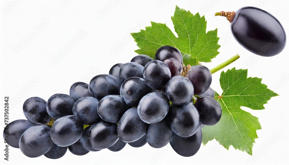dark grape isolated black grape with leaves on white background grapes flying collection full depth of field - obrazy, fototapety, plakaty 