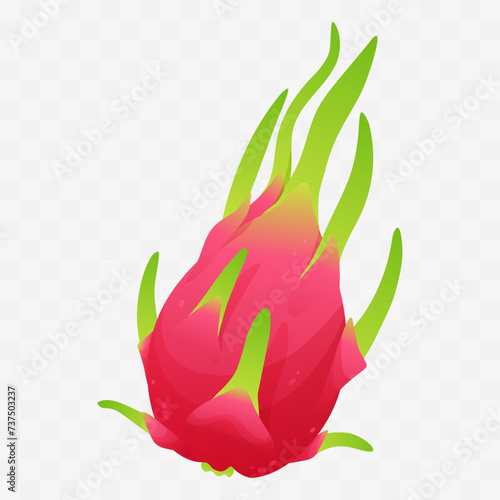 Exotic tropical fruit, whole pitaya, pitahaya, dragon fruit isolated on white background. Gradient. Vector illustration for postcard, banner, web, adv, design, arts