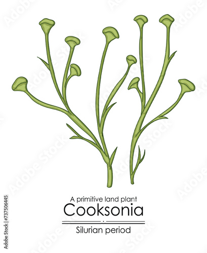 Cooksonia, a Silurian period primitive land plant, colorful illustration on a white background