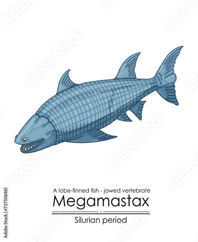 Megamastax, a Silurian period largest jawed vertebrate, a lobe-finned fish, colorful illustration on a white background