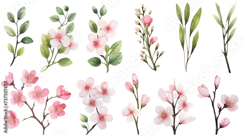 Fototapeta Naklejka Na Ścianę i Meble -  Watercolor set of cherry blossom, almond, sakura elements illustration on white background. Spring pink flowers and leaves.