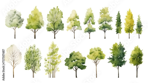 Set of watercolor green tree isolated on white background for landscape and architecture drawing, elements for environment and garden, botanical for section in spring photo