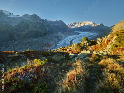 Aletschgletscher nahe Bettmeralp, Wannenhorn, Wallis, Schweiz photo