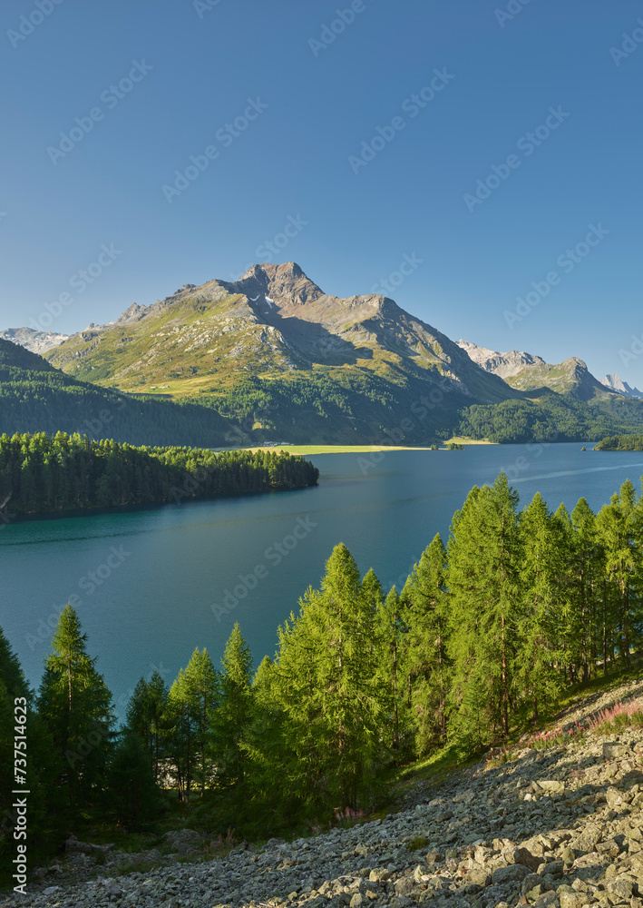 Silser See, Piz da la Margna, Lärchenwald, Engadin, Graubünden, Schweiz