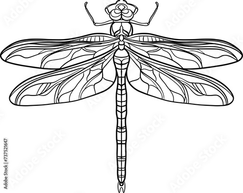 Dragonfly outline illustration isolated on transparent background 