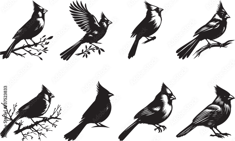 Obraz premium Amazing Bird Silhouettes EPS Amazing Bird Vector Amazing Bird Clipart 